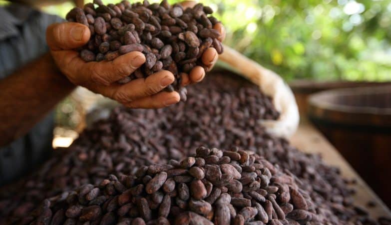 O chocolate pode ter os dias contados